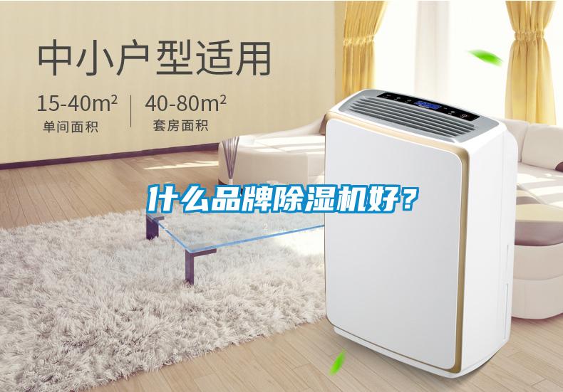 什么品牌除濕機(jī)好？