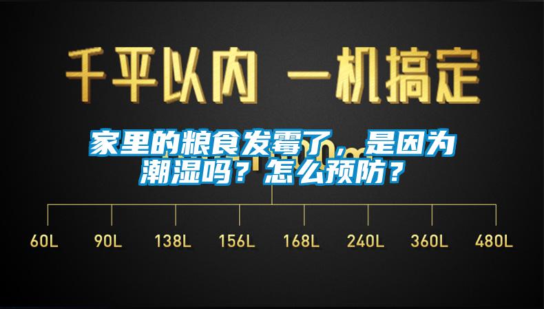 家里的糧食發(fā)霉了，是因?yàn)槌睗駟?？怎么預(yù)防？